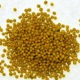 Mustar boabe (Brassica sp.) Nu discutam acuma despre cel din borcan, ca ne-apuca dimineata, ci doar despre boabe. Care, lucru mai putin stiut, sunt de trei soiuri: albe (Brassica hirta), brune (Brassica...
