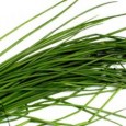 Arpagic verde (sibulet) (Allium schoenoprasum) Intr-adevar, am o problema cu denumirea. Prima forma se intalneste pe plicurile in care gasiti frunzele astea deshidratate, iar cea din paranteza e singura titulatura sub care am...