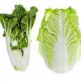 Varza chinezeasca De fapt este vorba, după cum vedeti in poza, despre doua tipuri de varza, ambele din familia Brassica rapa L. (ca si napul, ca sa dam exemplul unei legume care...