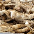 Armoracia rusticana. Se utilizeaza in principal radacina, data prin razatoare (proaspata sau conservata), dar si frunzele sunt uneori folosite, in salate, mancaruri (incercati sarmalutele in frunze de hrean!) sau muraturi....