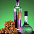 Pisco, bautura preferata a chilienilor si peruanilor Ce e pisco? E un rachiu obtinut din struguri (dar atentie, din tot fructul, nu doar din ramasitele de dupa tescuire, si nici din vin sau drojdie), cu o tarie...