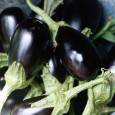 Vinete marinate sârbești Ați auzit de volumul Istorioare cu miroazne și crustă? Trebuie să recunosc, spre rușinea mea, că eu unul nu. În schimb, am avut norocul ca, recent și pe cale virtuală,...