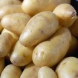 Mai ales datorită numeroaselor diete low-carb, în ultimii ani cartofii au cam fost eliminați de pe mesele celor aflați în cură de slăbire. Iată însă că, mai nou, cercetătorii afirmă...
