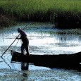 Scordolea ca la Somova Că scordoleaua este de fapt un sos, pe deasupra cam grecesc de felul său (skordalia), v-am povestit deja. Că există și mâncăruri care poartă această denumire (oarecum prin extensie), ne-au...