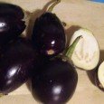 Tare interesante mai sunt, măcar la simpla lectură, și vinetele marinate libaneze pe care ni le-a trimis întru delectare domnul Marian Rădulescu. Am citit, am înghițit în sec și mi-am...