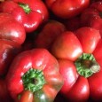 Gogoșari în oțet, simpli și umpluți Dacă rețeta mea de gogoșari în oțet v-am recomandat-o deja, astăzi e rândul domnului Marian Rădulescu să ne propună, tot din caietul Mireniei, nevasta lui nea Costică Lilă din Valea...