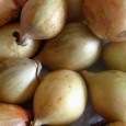 Arpagic Arpagicul (allium cepa) , cunoscut la noi, mai ales din punct de vedere horticol, și sub numele de „ceapă de sămânță”, este, conform Dicționarului Enciclopedic, ediția 1993, o „ceapă de...