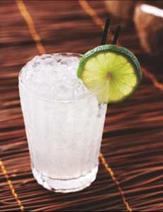 Barbadian Gin Punch Swizzle