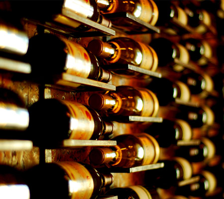 vin import export